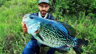 The BIGGEST CRAPPIE EVER CAUGHT on VIDEO [upl. by Reid]