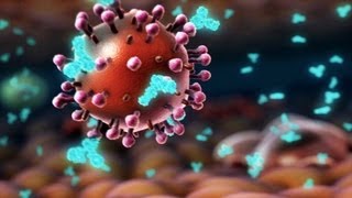 HIV and flu  the vaccine strategy  Seth Berkley [upl. by Innob210]