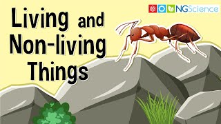 What Are Living and Nonliving Things [upl. by Lanta]