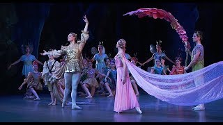 2017 Paris Opera Ballet  Midsummer Nights Dream Excerpts  Marchand Abbagnato Renavand [upl. by Suirradal645]