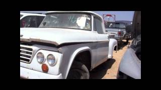 Dodge Sweptline Truck Junkyard  Austin TX [upl. by Valery]