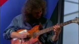 Pat Metheny Trio Cantaloupe Island 1992 [upl. by Noble]