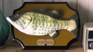 Singender Fisch  singing fish  singing Bass  dont worry be happy – HD [upl. by Inesita]