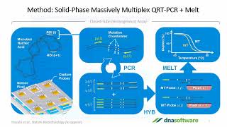 Multiplex PCR Assay Design Made Easy [upl. by Harshman]