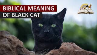 Biblical Meaning of BLACK CAT in Dream  Dreams About Black Cats [upl. by Nevur]