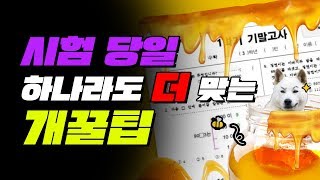 시험 잘 보는 법 TOP5 꼭 시험 직전에 봐라 [upl. by Jael]