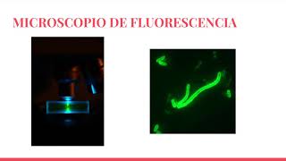 MICROSCOPÍA DE FLUORESCENCIA [upl. by Eemaj]