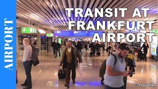 TRANSIT WALK AT FRANKFURT Airport FRA Terminal 1  Connection Flight Transfer Arriving amp Departing [upl. by Nylyaj]