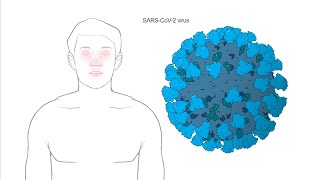 How does Modernas Coronavirus vaccine work [upl. by Lehacim]