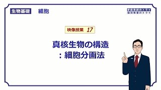 【生物基礎】 細胞17 細胞分画法 （１９分） [upl. by Namwob]