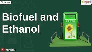 Biofuel and Ethanol  Class 10 Environmental Science  iKen [upl. by Ellerol881]