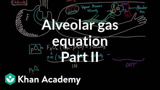 Alveolar gas equation  part 2  Respiratory system physiology  NCLEXRN  Khan Academy [upl. by Aisetal]