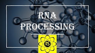 RNA Processing [upl. by Eninahpets]