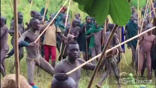 Brutal traditions of the surma Tribes Ethiopia [upl. by Yniffit]