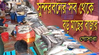 The largest fish market in the Sundarbans Gosaba West Bengal India [upl. by Rosio]