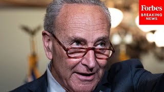 CommonSense Bipartisan LifeSaving Schumer Promotes Bipartisan Gun Control Bill [upl. by Nennerb]