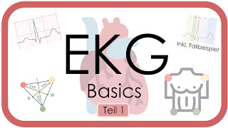 EKG Basics  Step by Step  Grundlagen Einthoven Frequenz Lagetyp PWelle QRS EKGKurs [upl. by Mcnutt677]